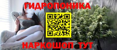 мдпв Пушкино